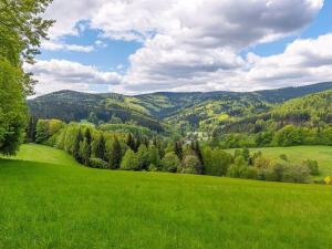 Prodej chalupy, Lipová-lázně - Horní Lipová, Horní Lipová, 420 m2