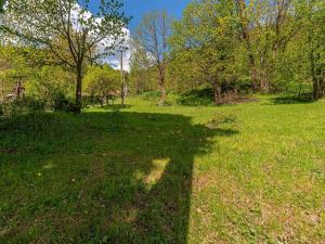 Prodej chalupy, Lipová-lázně - Horní Lipová, Horní Lipová, 420 m2