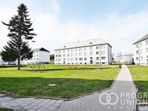 Prodej bytu 2+1, Světlá Hora - Světlá, 41 m2