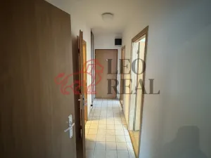 Prodej bytu 2+1, Brno - Líšeň, Molákova, 53 m2