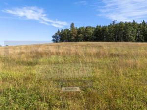 Prodej pozemku pro bydlení, Hradce, 5340 m2