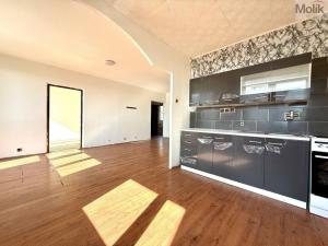Prodej bytu 4+1, Litvínov - Janov, Hamerská, 73 m2