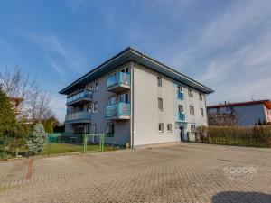 Pronájem bytu 3+kk, Šestajovice, Trojmezní, 84 m2