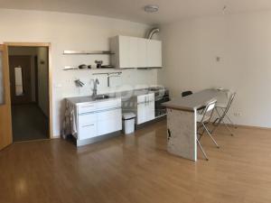 Pronájem bytu 1+kk, Hradec Králové - Pražské Předměstí, Haškova, 49 m2