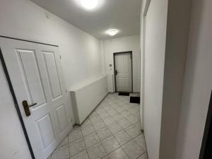 Pronájem bytu 1+kk, Praha - Vinohrady, Rumunská, 46 m2