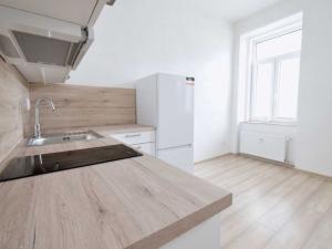 Pronájem bytu 1+kk, Brno - Zábrdovice, Vlhká, 24 m2