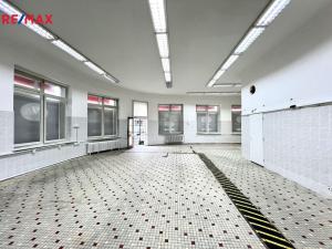 Prodej obchodního prostoru, Karlovy Vary - Drahovice, Mattoniho nábřeží, 235 m2
