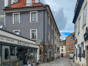 Pronájem bytu 1+kk, Český Krumlov - Latrán, Latrán, 17 m2