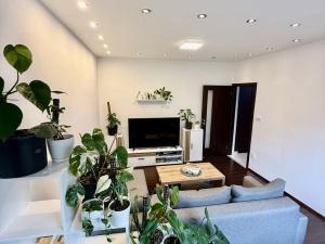 Pronájem bytu 2+1, Prostějov, Budovcova, 55 m2