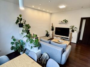 Pronájem bytu 2+1, Prostějov, Budovcova, 55 m2