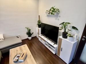 Pronájem bytu 2+1, Prostějov, Budovcova, 55 m2