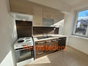 Pronájem bytu 1+kk, Karviná - Nové Město, Závodní, 36 m2