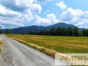 Prodej zahrady, Frýdlant nad Ostravicí - Nová Ves, 1006 m2