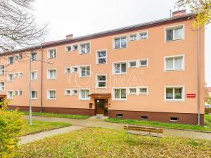 Prodej bytu 3+1, Ostrov, Seifertova, 77 m2