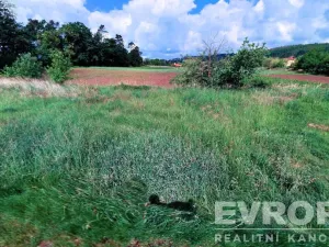 Prodej pozemku pro bydlení, Týnec nad Sázavou, 2475 m2