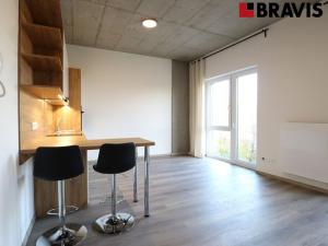 Pronájem bytu 1+kk, Brno - Horní Heršpice, Bohunická, 35 m2