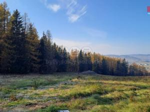 Prodej pozemku pro bydlení, Václavov u Bruntálu - Horní Václavov, 1095 m2