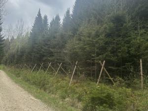 Prodej lesa, Vimperk - Skláře, 29000 m2