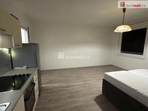 Pronájem bytu 1+kk, Ústí nad Labem - Krásné Březno, Obvodová, 31 m2