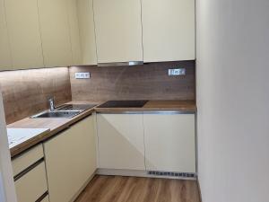 Pronájem bytu 1+kk, České Budějovice, Česká, 29 m2