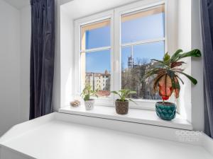 Pronájem bytu 2+kk, Praha - Žižkov, Ježkova, 50 m2