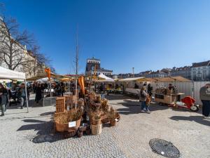 Pronájem bytu 2+kk, Praha - Žižkov, Ježkova, 50 m2