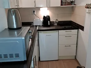 Prodej bytu 1+kk, Brno, Vrchlického sad, 20 m2