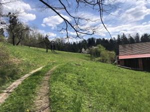 Prodej rodinného domu, Frýdlant nad Ostravicí, 193 m2