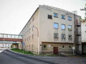 Pronájem výrobních prostor, Hodonín, Bratislavská, 2800 m2