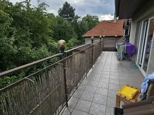 Prodej rodinného domu, Zbuzany, U Kovárny, 250 m2