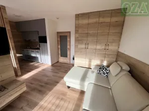 Prodej bytu 1+kk, Černý Důl, 36 m2