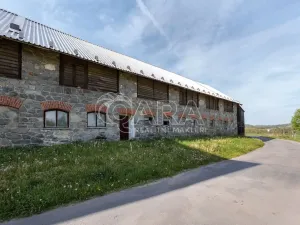 Prodej komerčního pozemku, Kolinec - Malonice, 3899 m2