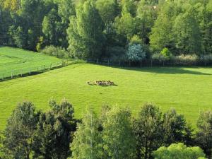 Prodej zemědělského objektu, Cheb, 120000000 m2