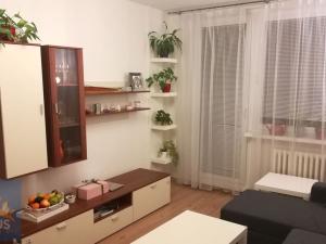 Pronájem bytu 2+kk, Praha - Petrovice, Kurčatovova, 43 m2