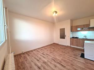 Pronájem bytu 1+kk, Lesná, 24 m2