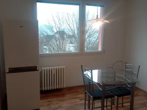 Pronájem bytu 2+kk, Ústí nad Labem, Žukovova, 36 m2