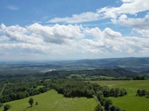 Prodej podílu louky, Domašín, 282578 m2