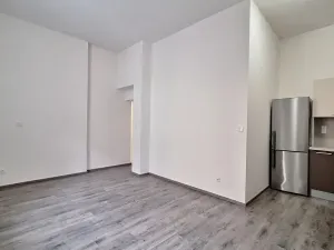 Pronájem bytu 2+kk, Praha - Holešovice, Na Maninách, 53 m2