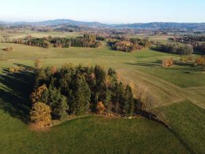 Prodej pozemku pro bydlení, Kolinec - Tržek, 1688 m2