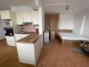 Pronájem bytu 1+kk, Mladá Boleslav, Jičínská, 39 m2