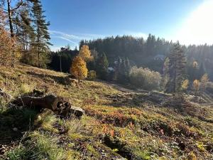 Prodej pozemku pro bydlení, Smolné Pece, 1373 m2