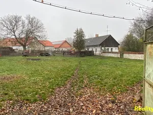 Prodej zemědělské usedlosti, Milevsko, 366 m2