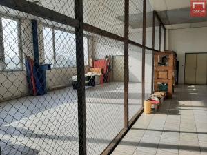 Pronájem kanceláře, Olomouc, Šlechtitelů, 299 m2