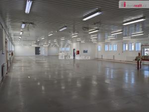 Pronájem výrobních prostor, Kaplice - Mostky, 1000 m2