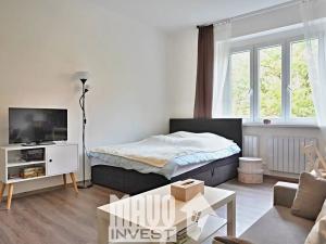 Pronájem bytu 1+kk, Praha - Nusle, Doudlebská, 28 m2