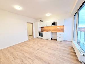 Pronájem bytu 1+kk, Brno, Provazníkova, 28 m2