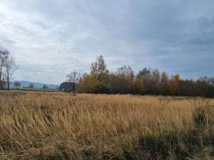 Dražba louky, Hlinsko, 16436 m2