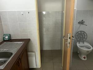 Pronájem obchodního prostoru, Pelhřimov, Pražská, 54 m2