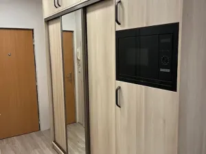 Pronájem bytu 1+kk, Praha - Záběhlice, Jahodová, 30 m2