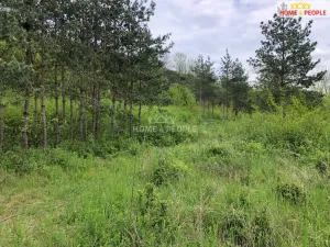 Prodej výrobních prostor, Všetaty - Přívory, Mělnická, 23788 m2